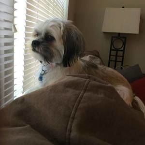 Meet your Posher, Mary